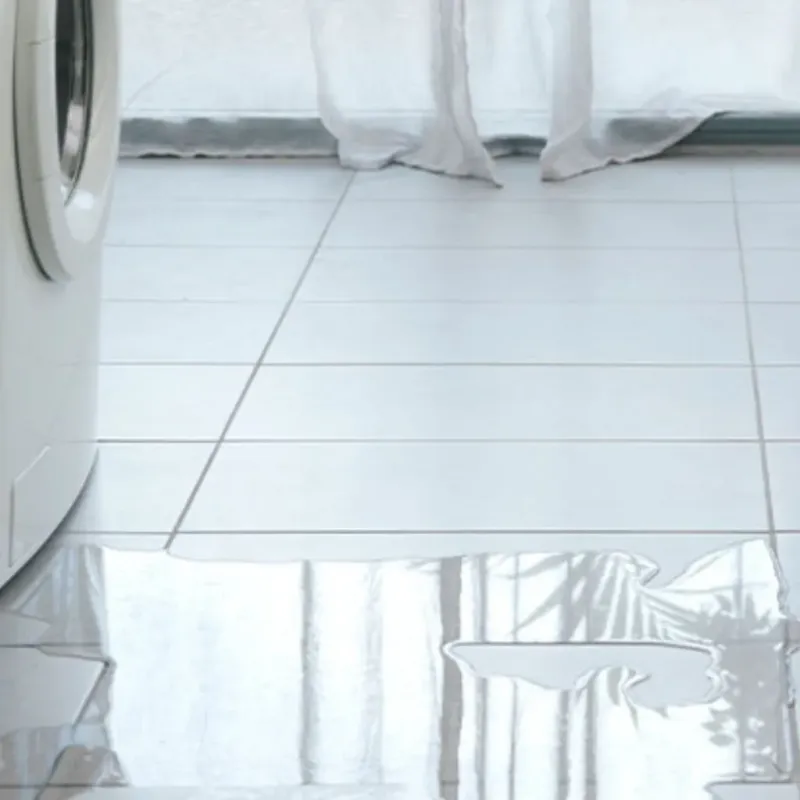Appliance Leak Cleanup in Milton, GA