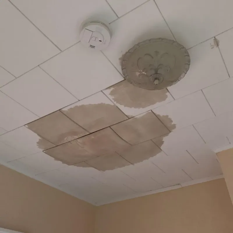 Ceiling Water Damage Repair in Milton, GA