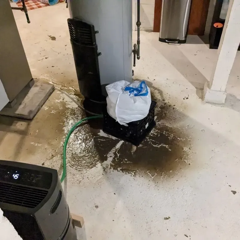 Sewage Backup Cleanup Service in Milton, GA
